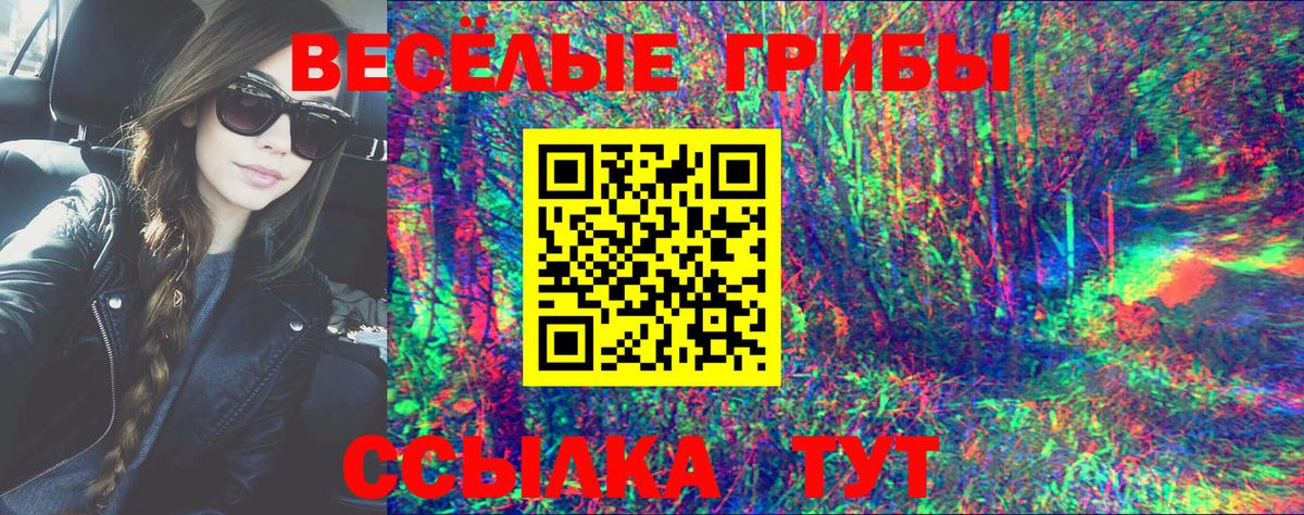 Псилоцибиновые грибы Psilocybe  Вход с VPN  Галлюциногенные грибы Cubensis  Черкесск 